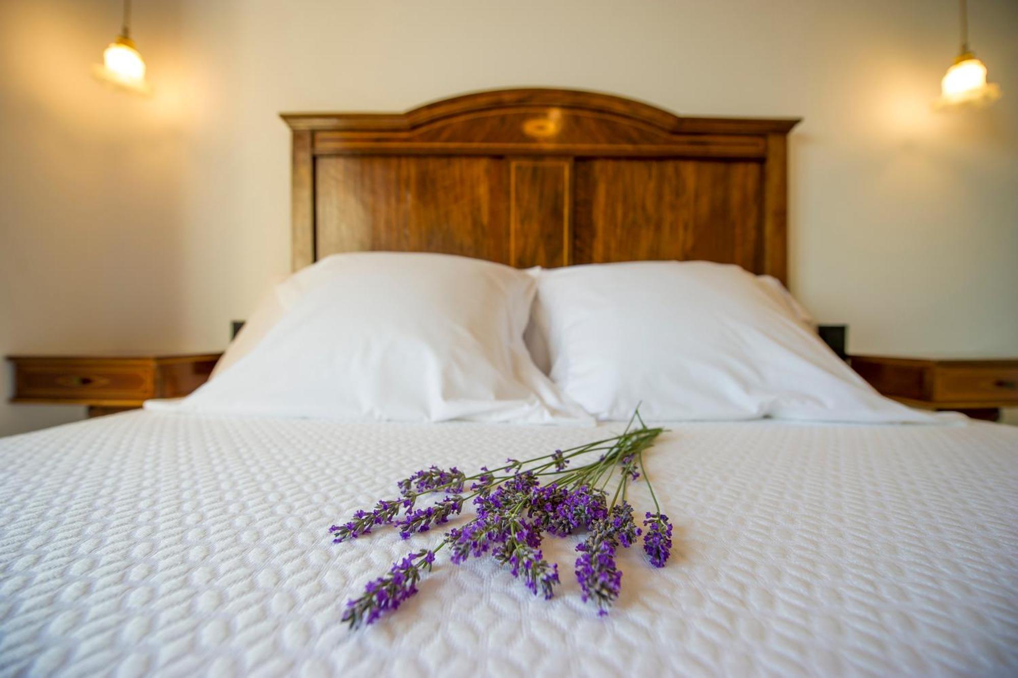Bolet Casa Modernista Bed & Breakfast Castellvi de la Marca Exterior photo